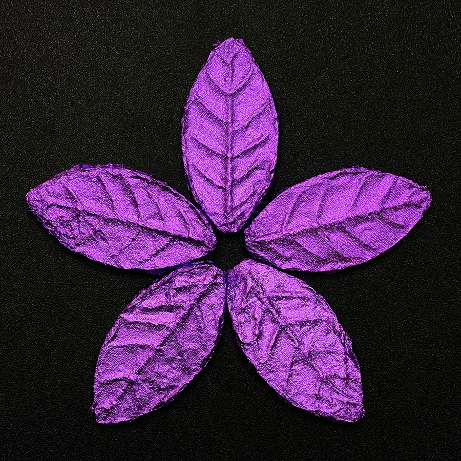 紫叶子·皇帝叶/公斤